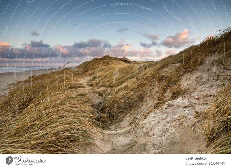 Dunes with clouds in Denmark II relaxation relax & recuperate" Recreation area bathe Freedom vacation Vacation mood Exterior shot Ocean Colour photo Relaxation