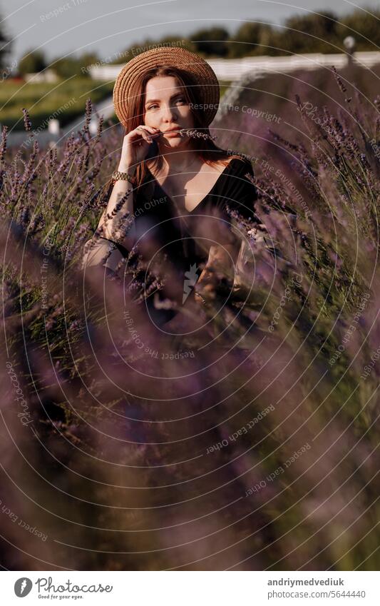 Young romantic woman in black dress and straw hat is sitting in blooming fragrant purple lavender field. Attractive brunette girl enjoying life and dreaming. Natural beauty concept