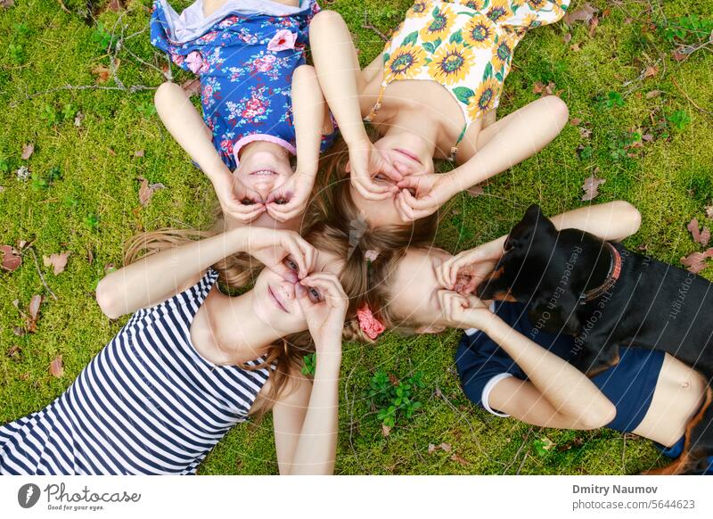 Children lying together enjoying summer holidays above camping candid carefree cheerful child childhood children dog enjoyment forest fresh air friends