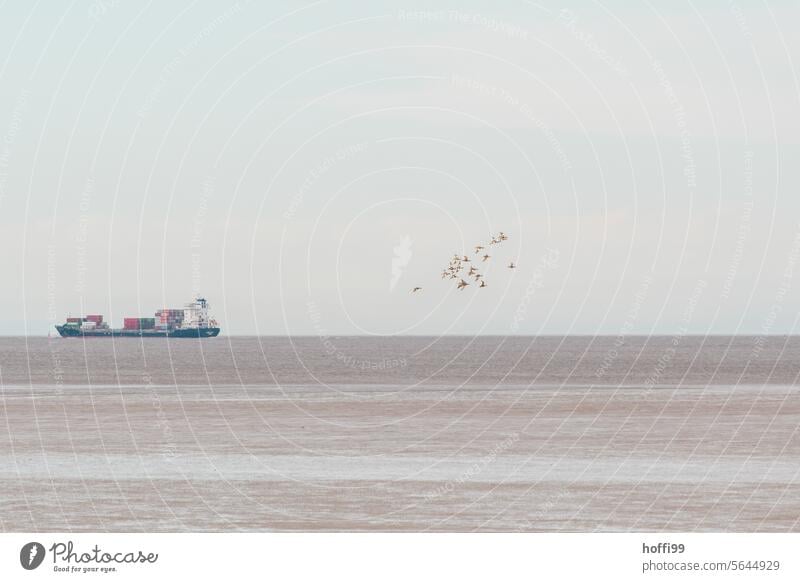 Panorama of the Wadden Sea with flock of birds and container ship Wadden Sea on the North Sea coast Mud flats Flock of birds Migratory birds bird migration