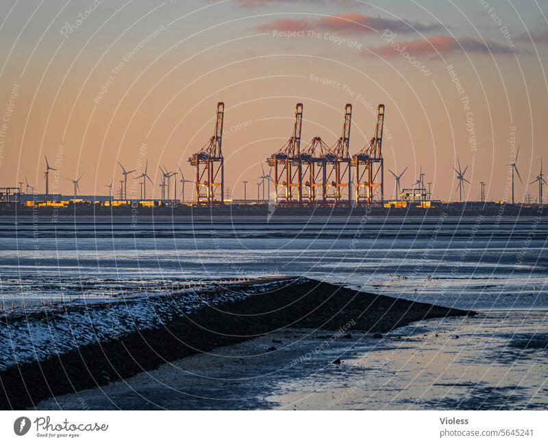 Jade Weser Port from a distance Jade-Weser Port Jadebusen North Sea watt Mud flats crane Container Container terminal Wilhlemshaven Break water