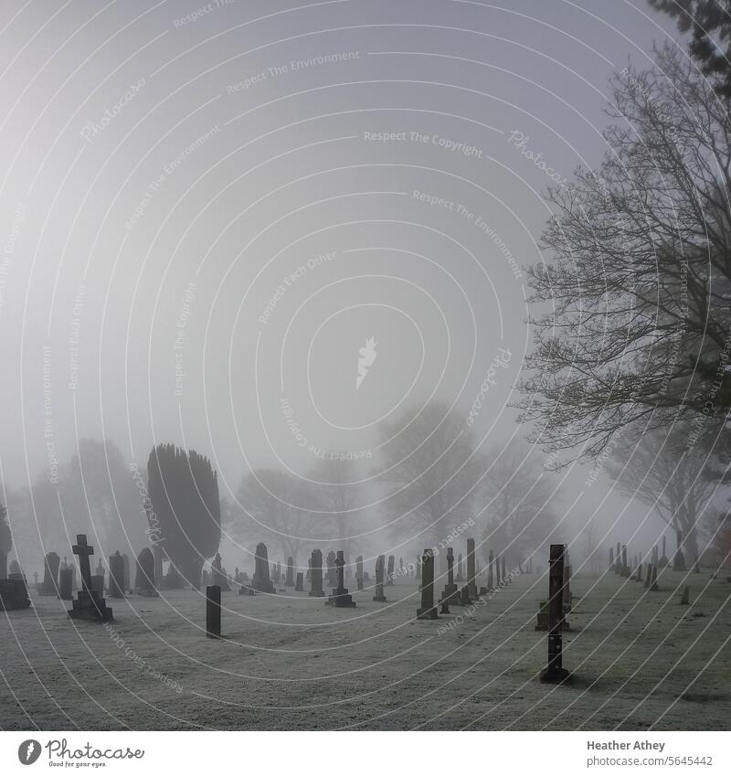 Misty cemetery scene, Northumberland UK Cemetery gravestones headstone graveyard Death Grave Grief Sadness Transience Religion and faith Exterior shot Calm