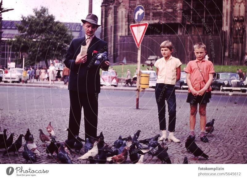 Man feeds city pigeons Feed the birds Pigeon person Former Old old times Love of animals Flock of birds Town Street Nostalgia Feeding road City life Places