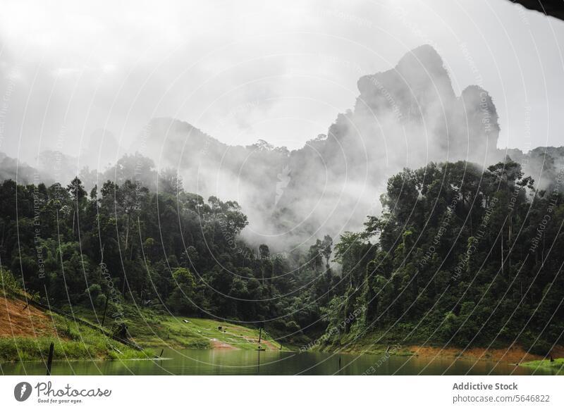 Mountains covered with fog near lake in Thailand nature mountain tropical tree park scenery environment exotic khao sok national park thailand asia picturesque