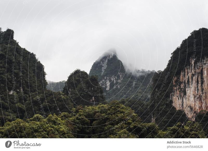 Rocky mountains with green trees under cloudy sky in Thailand rocky forest nature landscape highland ridge valley formation giant range scenery picturesque lush