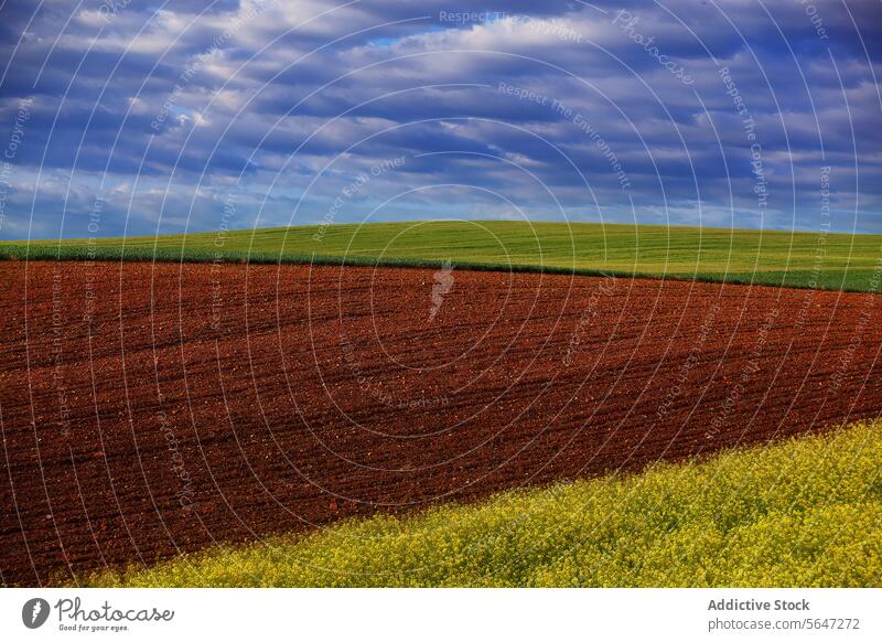 Tranquil farmland scene with a rich brown plowed field in the foreground and a lush green crop field under a cloud-filled sky landscape agricultural farming