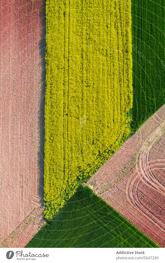 Textured aerial view of farmland showing geometric patterns of plowed fields in green, yellow, and brown tones Aerial texture rural agriculture crop earth