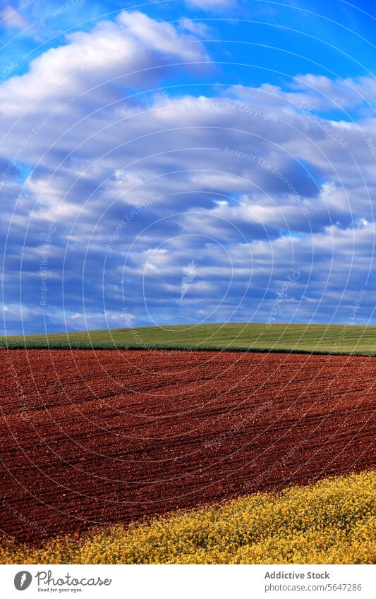 Tranquil farmland scene with a rich brown plowed field in the foreground and a lush green crop field under a cloud-filled sky landscape agricultural farming