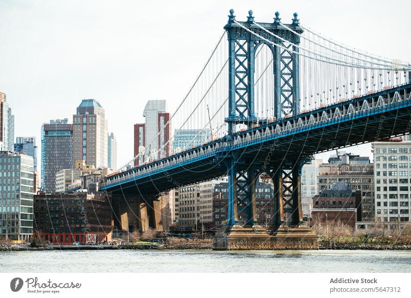 Suspension bridge over river in modern city district skyscraper architecture downtown metropolis building cityscape suspension picturesque urban manhattan