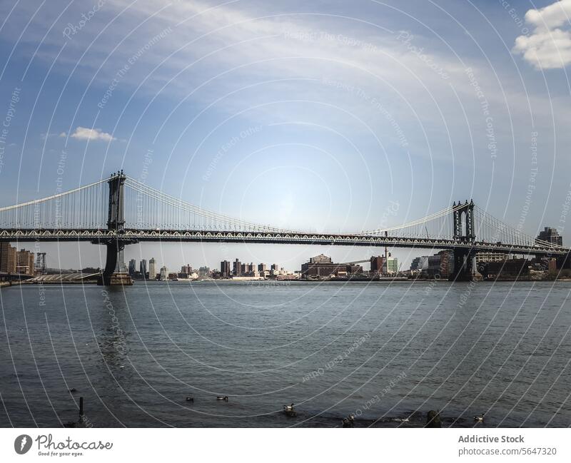 Manhattan Bridge with clear blue skies in New York bridge skyline river cityscape architecture landmark East River urban cloud tower skyscraper water