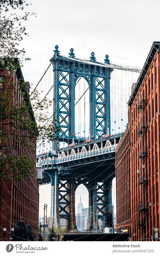 Manhattan Bridge view from DUMBO street bridge Brooklyn cobblestone building historic city skyline architecture car traffic landmark spring urban travel tower