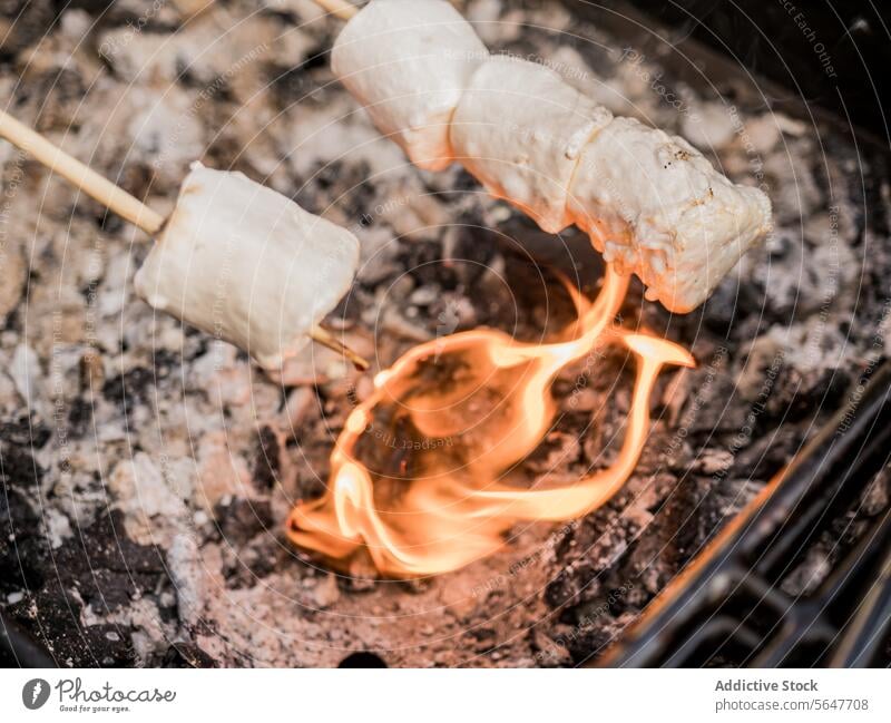 Toasting marshmallow on fire with skewer stick toast roast charcoal grill machine picnic burn flame snack tasty food heat delicious yummy top view bbq crop