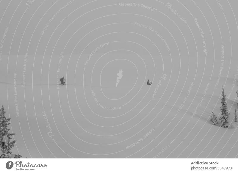 People hiking on snowy landscape people mountain snowboard active unrecognizable cold extreme canada from above winter white fog hiker weather trekking