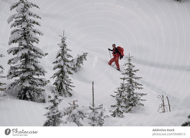 Person walk on snowcapped mountain skier active pole backpack slope canada nature majestic beauty person landscape sunny vacation winter warm clothes trail