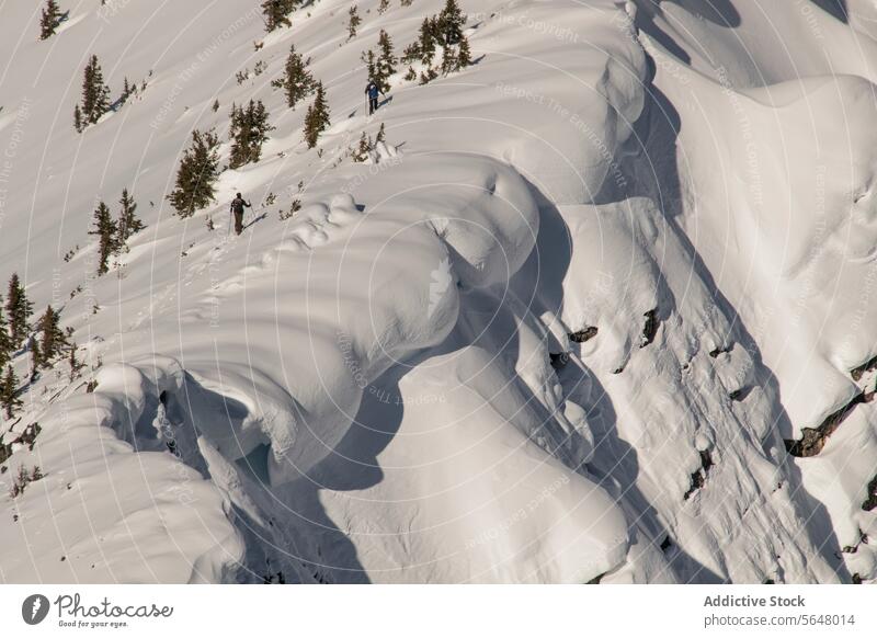 Person skiing on snowcapped mountain skier anonymous active pole backpack slope canada nature majestic beauty person unrecognizable landscape vacation winter