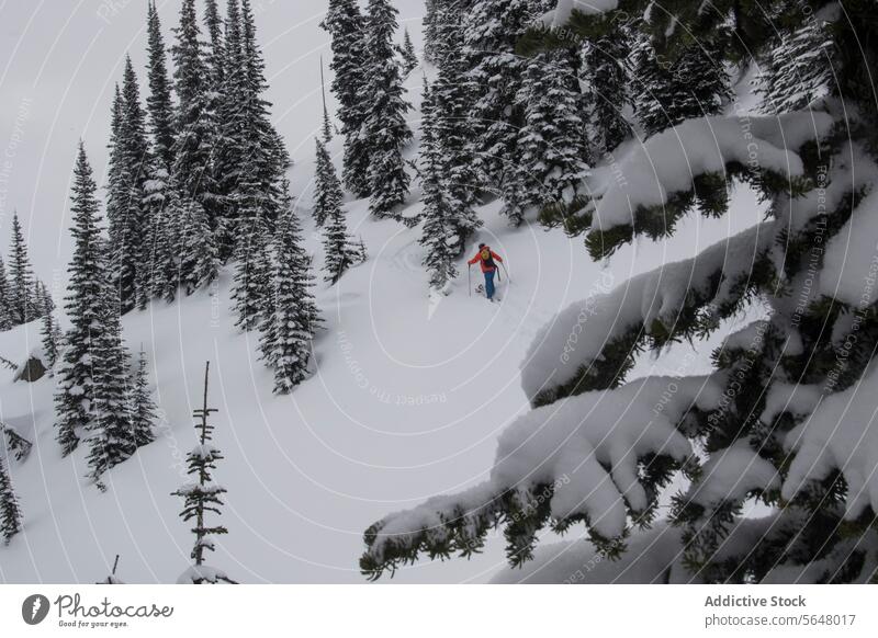 Person walk on snowcapped mountain skier anonymous active pole backpack slope canada nature majestic beauty person unrecognizable landscape sunny vacation