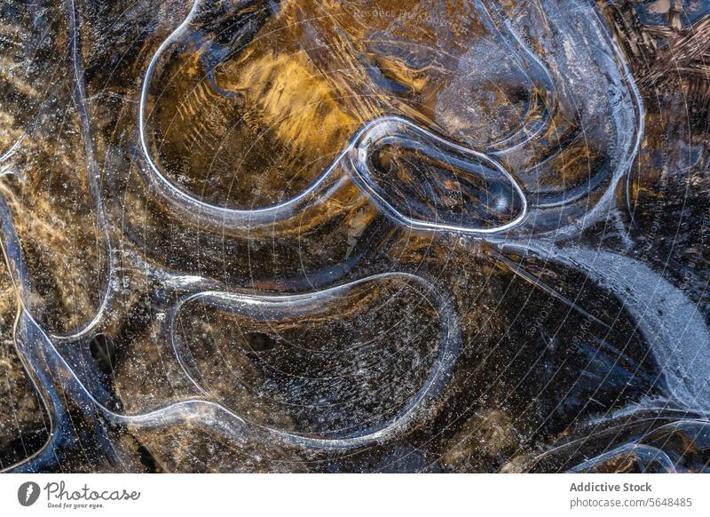 Intricate ice patterns over golden soil texture close-up nature delicate interplay detail ground surface abstract winter cold backdrop natural design brown