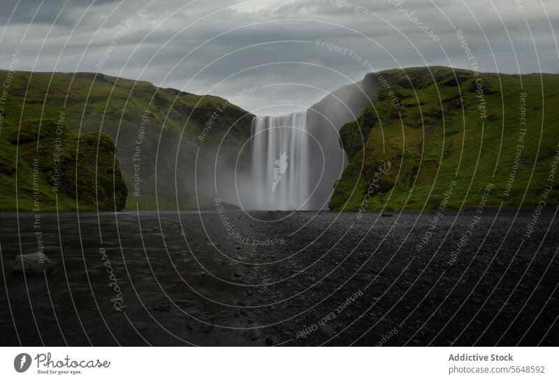 Powerful waterfall cascading down a lush green cliff into a misty pool with dark pebbles in the foreground in Iceland landscape nature cascade powerful scenic