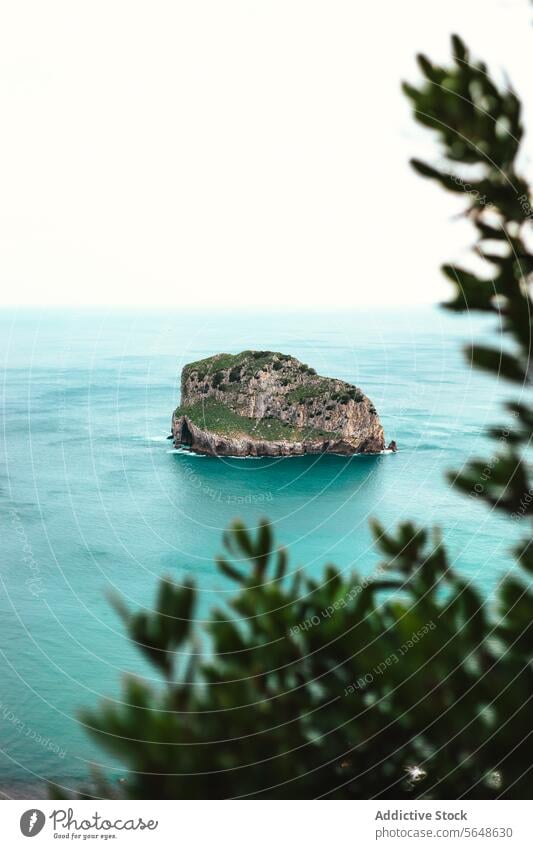 Rocky island with blue sea and near green forest ocean nature rocky landscape seascape formation scenic environment coast grow leave picturesque scenery idyllic