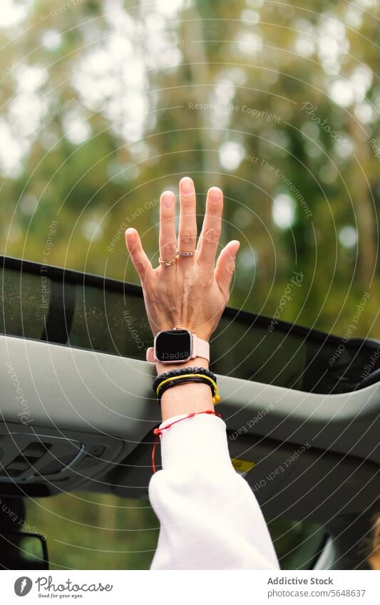 Crop person putting hand on vehicle in park nature sunroof gesture flora demonstrate environment plant green daylight reach out leaf alone forest tree sign