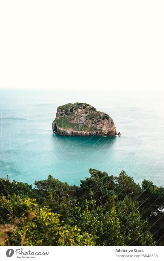 Rocky island with blue sea and near green forest ocean nature rocky landscape seascape formation scenic environment coast grow picturesque scenery idyllic shore