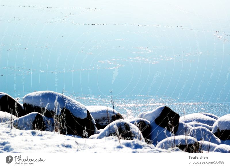 Ringkobing Fjord Ringkøbing Winter Ocean Vacation & Travel Coast Denmark Stone Rock Snow Sun Water