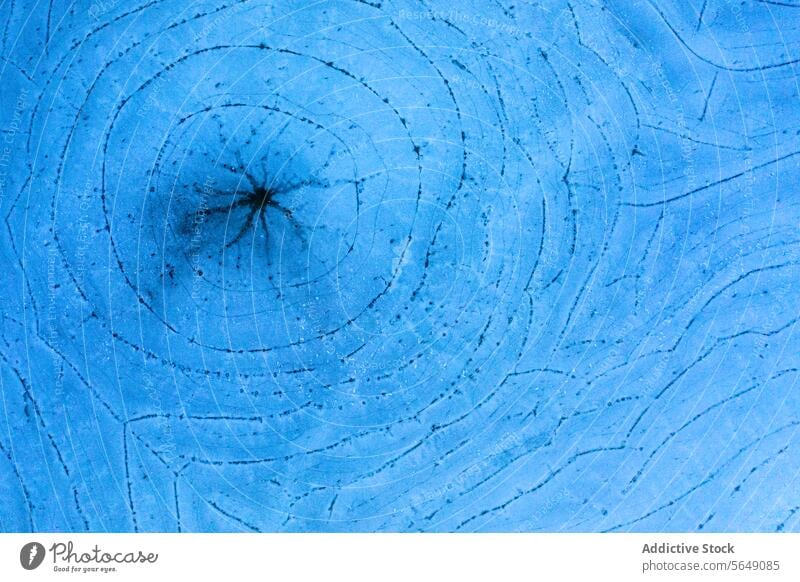 Intricate frost patterns on a frozen surface in Guadalajara ice nature close-up guadalajara spain winter texture natural cold blue abstract artistry beauty