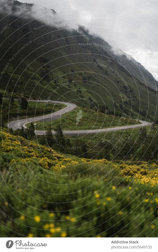 Curve road in green mountains under cloudy sky Winding Road Mountain Green National Park Landscape Scenic Empty Nature Asphalt Route Spain Roadway Travel