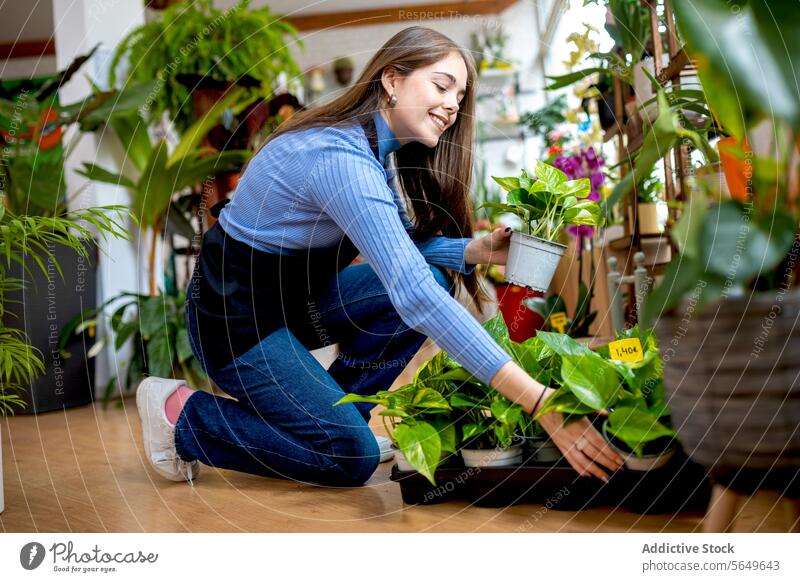 Happy female owner arranging plants in floristry woman arrange pot care potted money plant work shop flower shop store small business job epipremnum aureum ivy