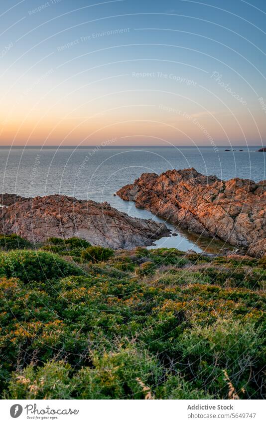 Rocky beach and sea under clear sky seascape rock scenery seashore rough calm ocean sunset water nature horizon grass copy space environment meadow picturesque