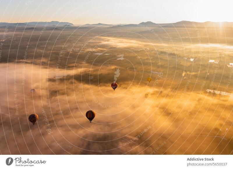 From above several colorful hot air balloons rise above a fog-engulfed landscape with the sun casting a soft glow on the scene sunrise Teotihuacan outdoor