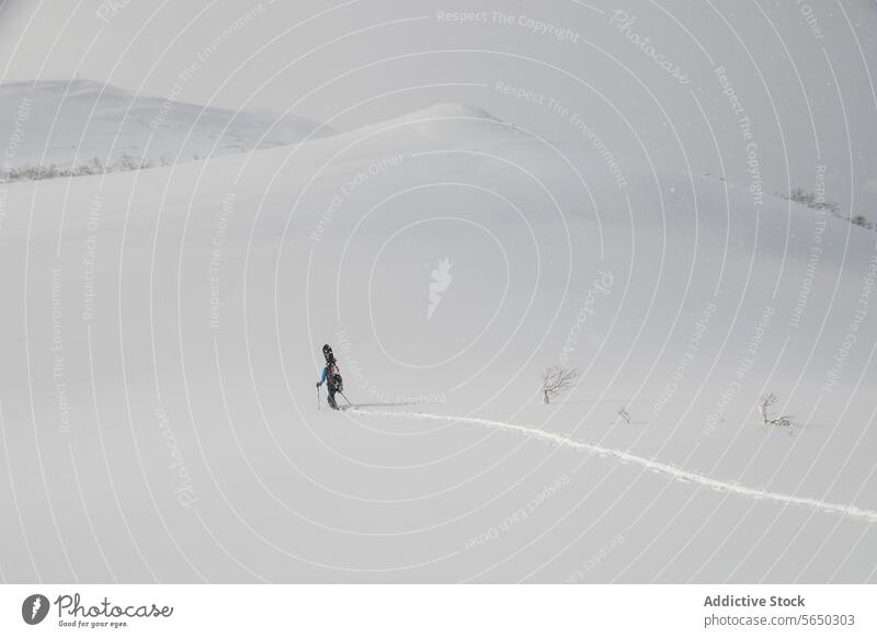 Top view of person hiking on snowy alps snowboard pole hike walk mountain back view unrecognizable active winter vacation japan hiker beauty majestic scenery