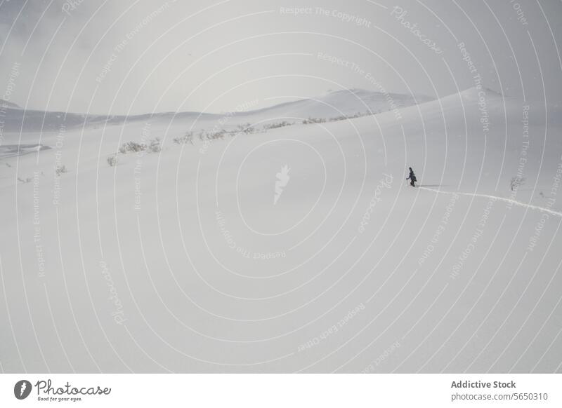 From above of person hiking on snowy alps snowboard pole hike walk mountain back view unrecognizable active winter vacation japan hiker beauty majestic scenery