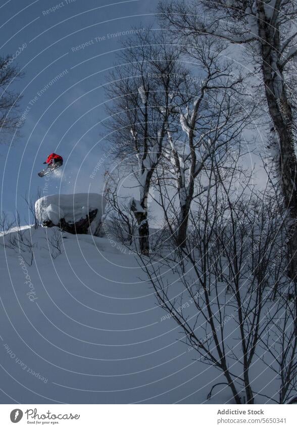 Person with snowboard jumping in snowy forest snowboarder carefree snowboarding anonymous hill bare tree vacation japan mountain enjoy adventure mid-air nature