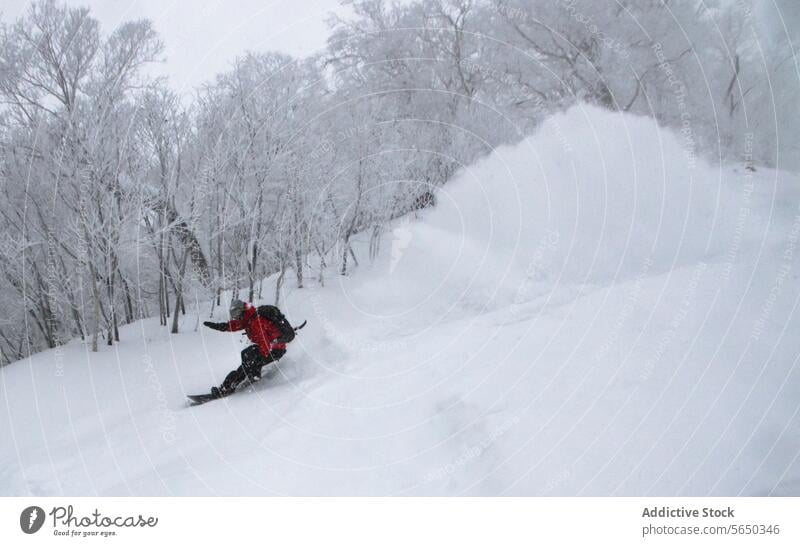 Active person riding snowboard on snowy hill snowboarding adventure mountain bare tree sky vacation enjoy japan unrecognizable ride snowboarder active white