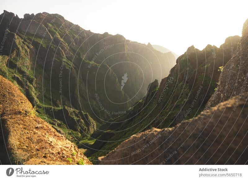 Idyllic view of mountain ranges with green plants and vegetation during sunset landscape nature idyllic sunlight sunrise mountainous peaceful wilderness natural