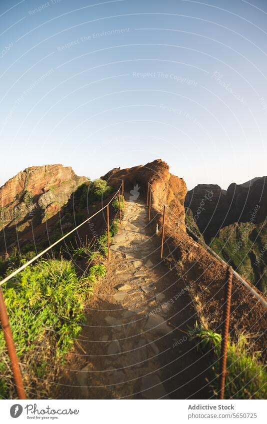 Trekking trail with plants on mountain footpath hiking empty scenic peak nature railing range sunlight way trekking passage walkway landscape idyllic sunrise