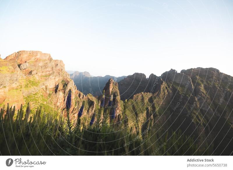 Idyllic view of mountain ranges with green plants and vegetation during sunrise landscape nature idyllic sunlight beautiful mountainous peaceful wilderness