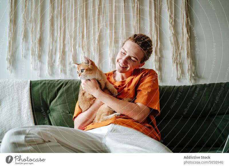 Young woman caressing adorable British shorthair golden cat on sofa at home british shorthair owner embrace hug couch relax love animal feline pet comfort kitty