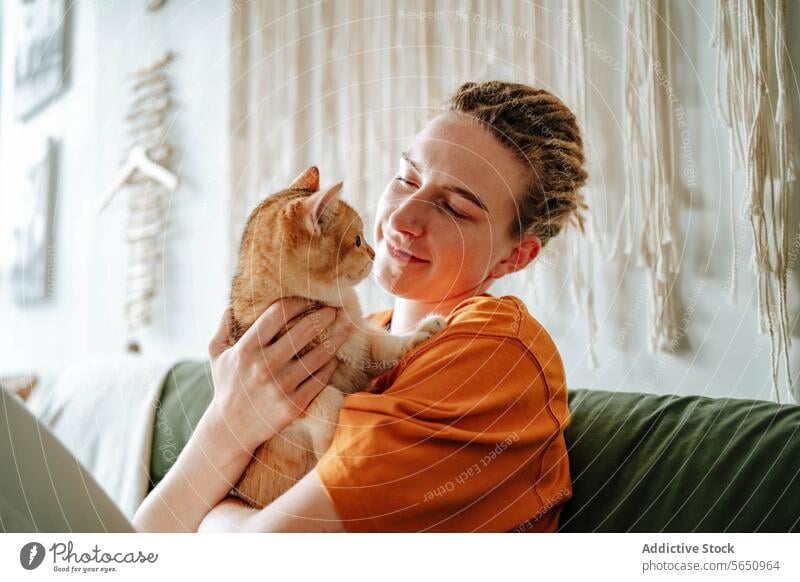 Young woman caressing adorable British shorthair golden cat on sofa at home british shorthair owner embrace hug couch relax love animal feline pet comfort kitty