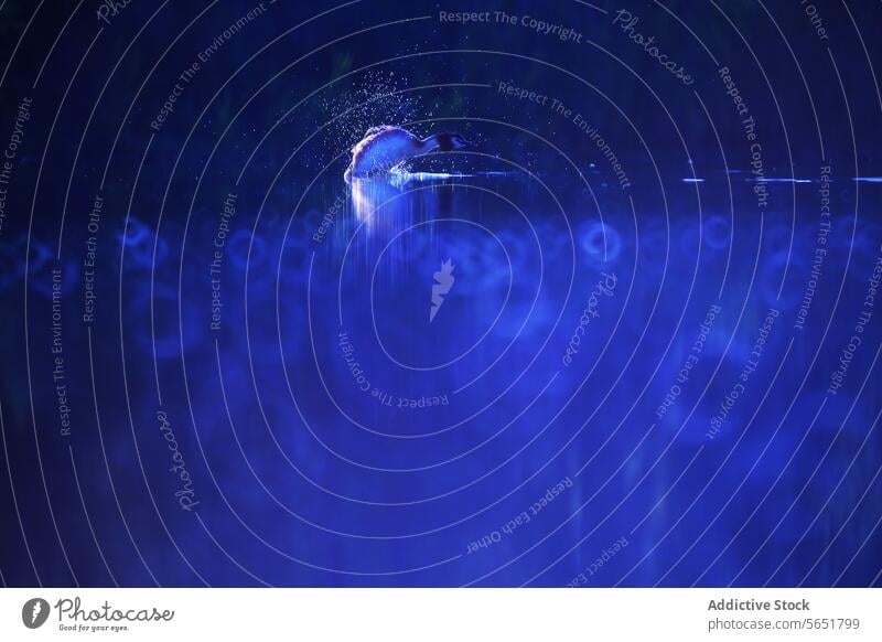 A great crested grebe emerges from a serene lake at twilight, water droplets sparkling in the dim light as it shakes its head, surrounded by a mystical blue glow