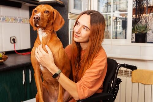 Young wheelchair user bonding with her dog at home woman kitchen disabled pet affection care companion accessibility indoor cozy female young adult animal