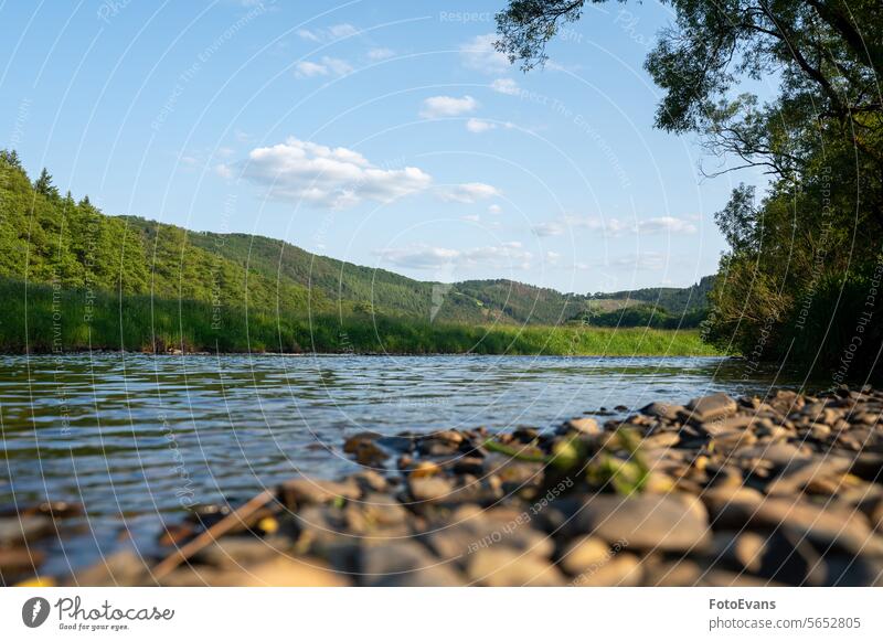 River landscape - A river  in a green landscape with a blurred foreground grass autumn nature water Germany meadow botany stones blurry shore landscape summer