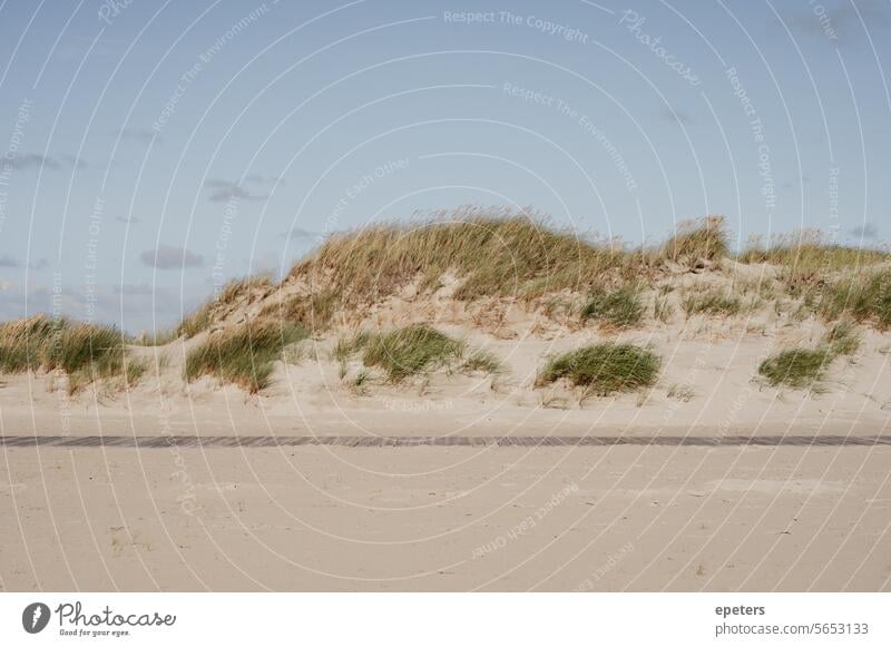 Dune landscape on the beach at Sankt Peter-Ording Hope Ease Freedom symbol Sky Wind Blue Clouds Summer Multicoloured Vacation & Travel free time Exterior shot