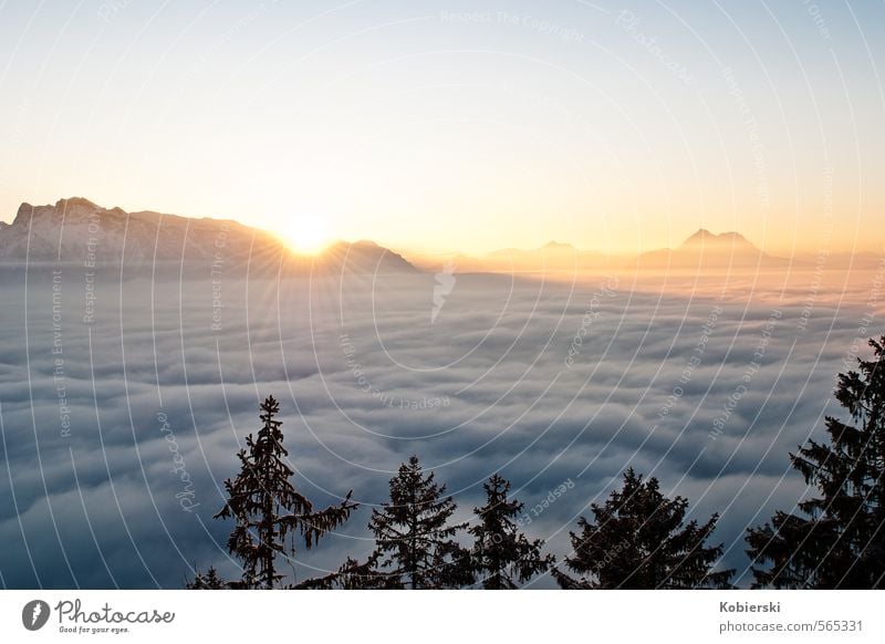 Sunset at the Gaisberg Tourism Winter Snow Mountain Environment Nature Sky Clouds Horizon Ice Frost lower mountain Watzmann Federal State of Salzburg Looking