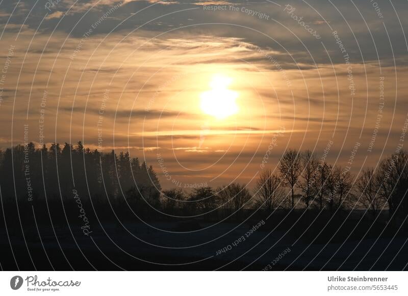 Sunrise on a cold winter morning Sky trees Bright spot Light Flare Occur Morning morning mood early morning chill Winter Nature Landscape Dawn in the morning