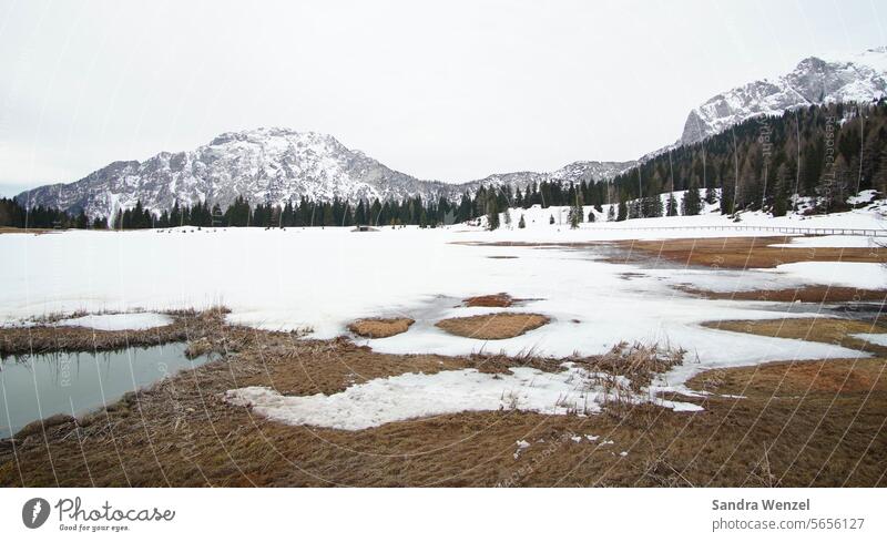 Frozen lake in the Alps Lake Frozen surface Snow mountains Ice frozen peril Landscape wet field Italy Carinthia Ski resort Winter sports Glacier Climate chill