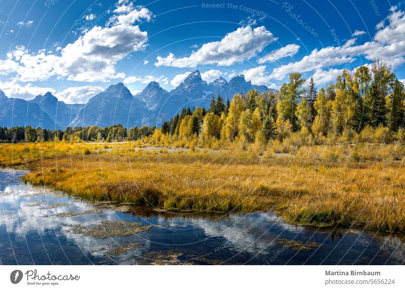 Landscape with mountains, trees and a river in the Yellowstone National Park, Wyoming USA yellowstone landscape america morning green geology beauty travel