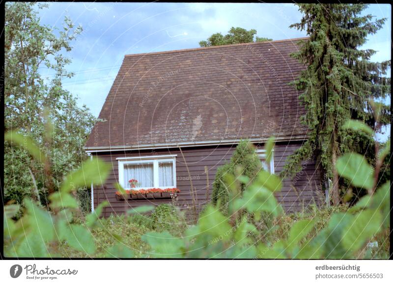 Suburban idyll - ageing, small house with overgrown garden Small Town Outskirts House (Residential Structure) cot Wooden house bourgeois Garden trees Green