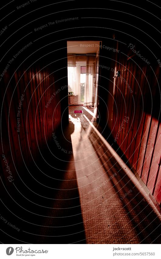 Incidence of light in the hallway Room Shaft of light Low-key Depth of field Hallway Silhouette Shadow Contrast Symmetry Neutral Background Carpet Sunlight Dark